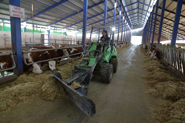 Kurduğu çiftlikte günlük 1,5 ton süt üretiyor