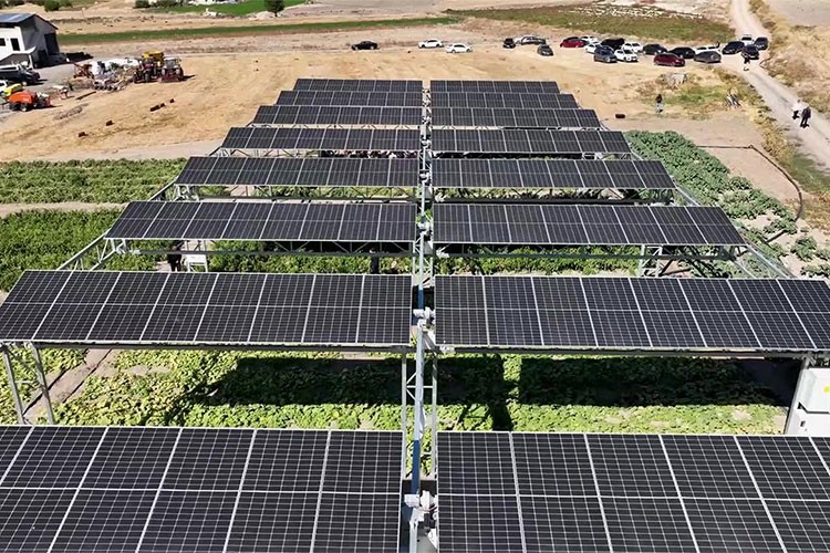 TarımGES ile 15 gigavatlık potansiyel yaratabilecek