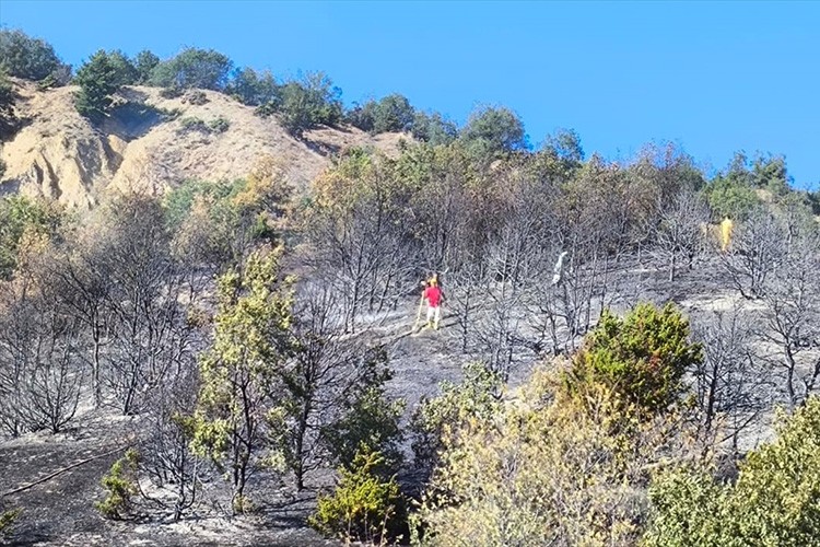 Amasya'da çıkan orman yangını söndürüldü
