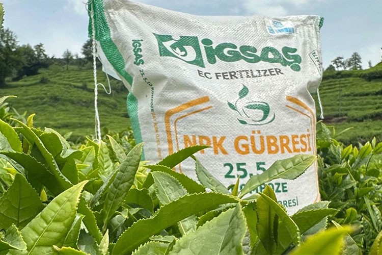 İGSAŞ'ın yenilediği kurumsal web sitesine 4 ödül