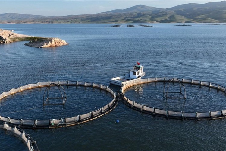 Kayseri'den yılda 5 bin tona yakın Türk somonu ihraç ediliyor