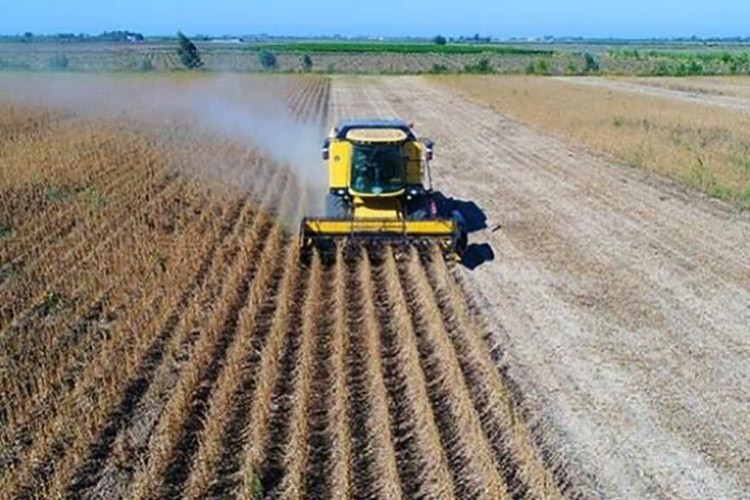 Çiftçilere prim desteği ödenecek