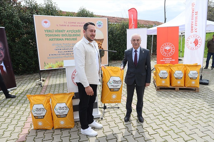 Edirne'nin ayçiçeği üretiminde tekrar zirvede yer alması hedefleniyor