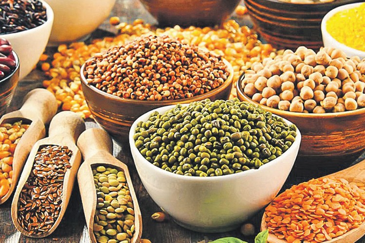 Sofrada sessiz protein krizi