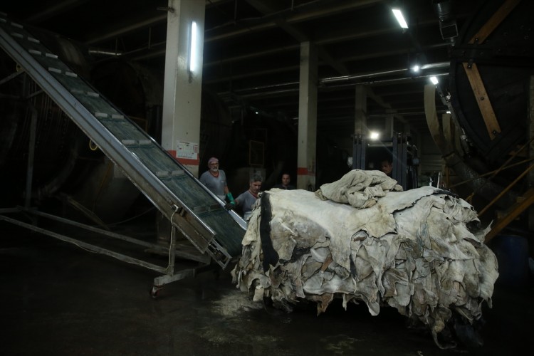 Günlük 500 ton ham deri işleniyor
