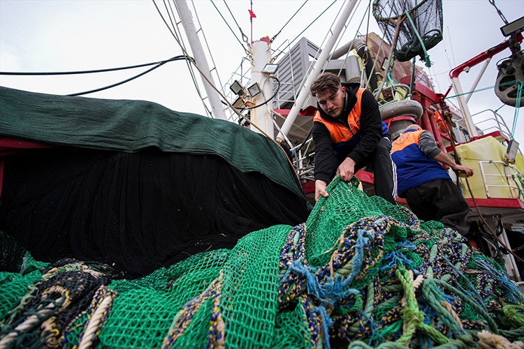 Denize açılamayan Egeli balıkçılar sezonun kalanından umutlu