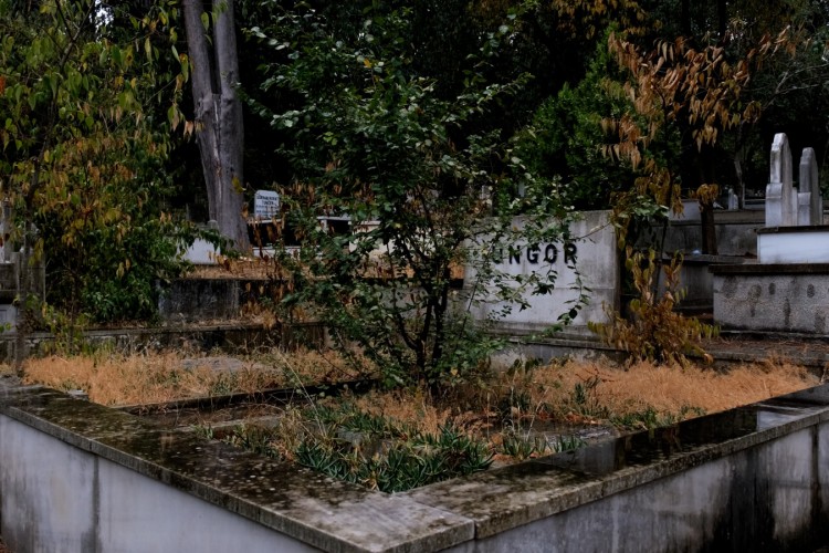 UNUTULMUŞTU İBB MİRAS SAHİP ÇIKTI