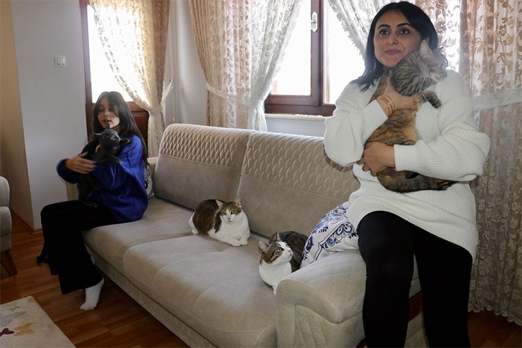 Sahiplendiği hasta ve engelli 5 kediye evinde bakıyor
