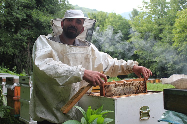 Kovan sayısını 30'dan 300'e çıkardı