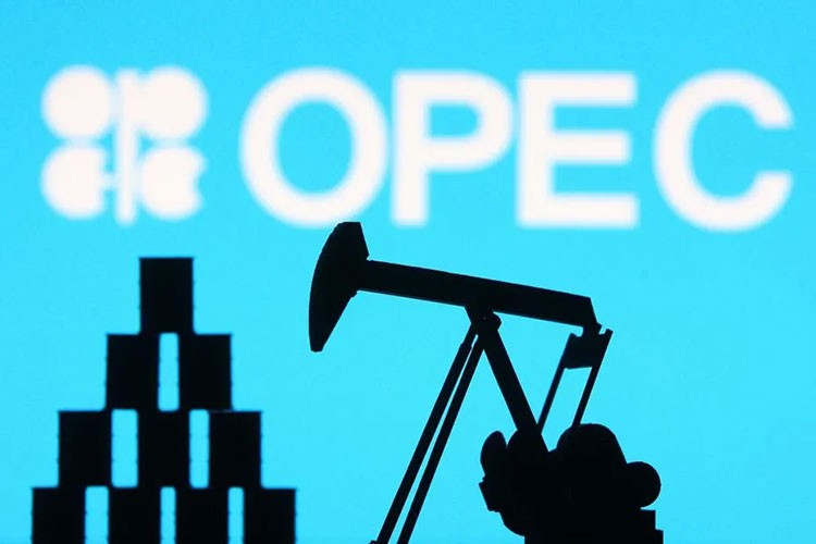 OPEC üretimi artırırsa petrol 50 doların altına gerileyebilir