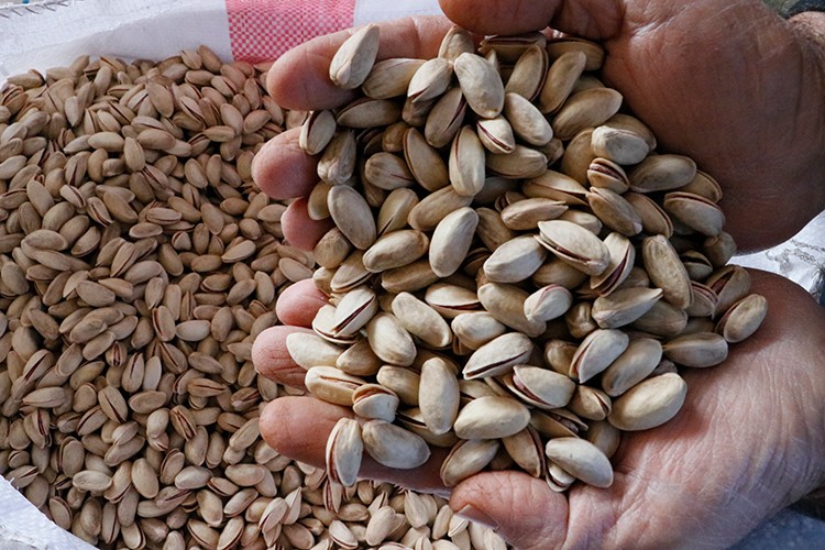 93 ülkeye ihraç edildi