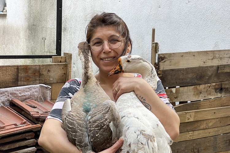 Yavruyken sahiplendiği kazları yanından ayırmıyor