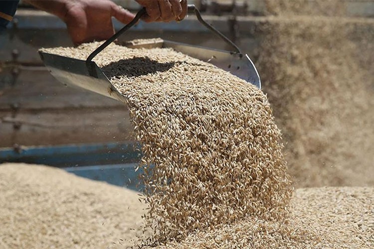 Lisanslı depolarda 9,5 milyon ton hububat var