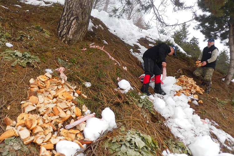 2.5 milyar ekmek çöpte