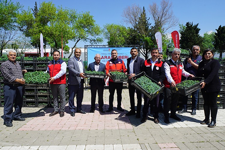 Büyükşehir'den üreticiye 650 bin hibe biber fidesi