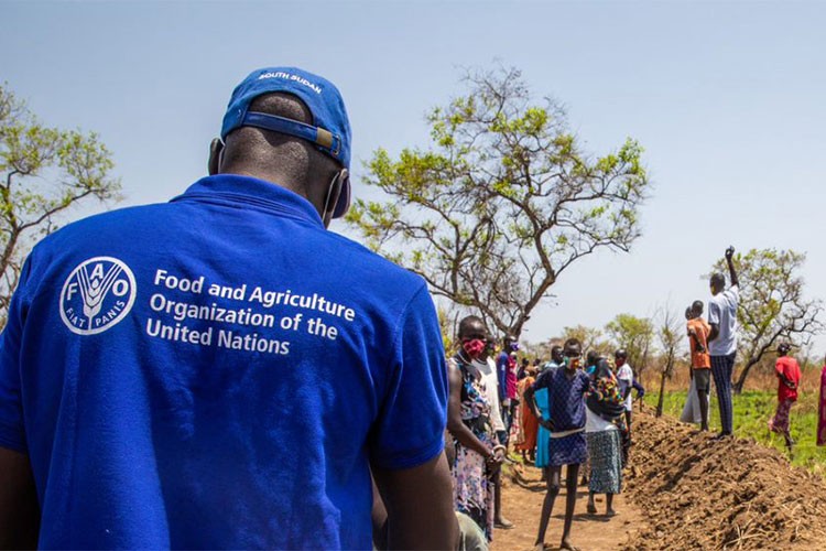 Sağlıksız beslenme 8 trilyon dolar gizli maliyete neden oluyor