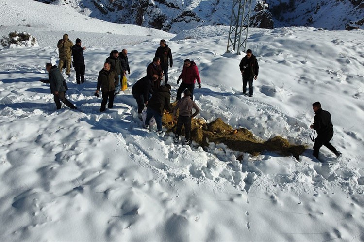 Erzurum'da yaban hayvanları için doğaya yem bırakıldı