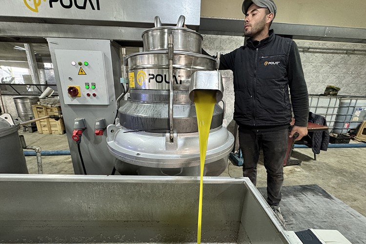 Muhtarın zeytinyağı üretim tesisi mahallelinin geçim kaynağı oldu