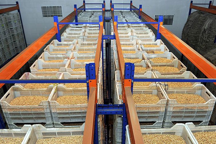 Afrika ülkelerine hububat ihracatı yüzde 32,9 arttı