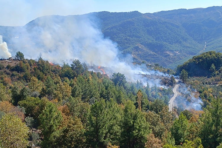 Alanya'da zirai alanda çıkan yangın kontrol altına alındı