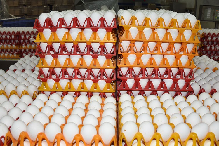 Arap pazarına yöneldiler