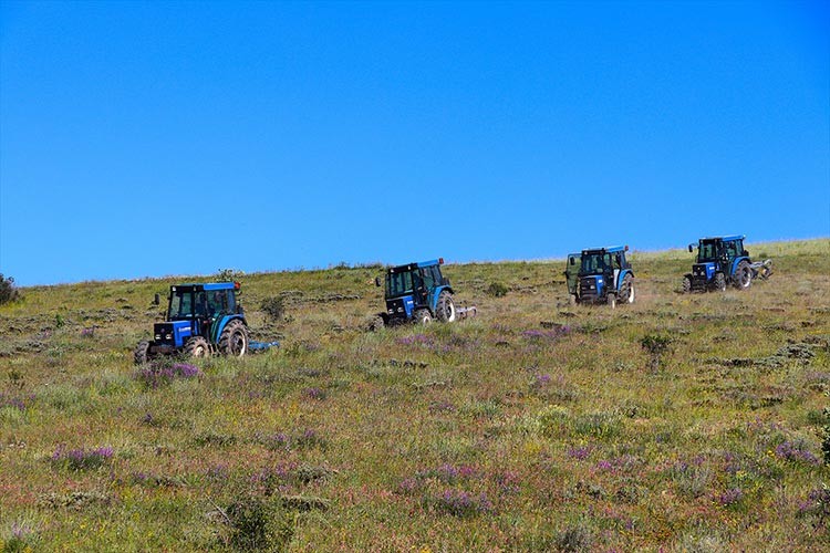 Bayburt'ta atıl araziler üretime kazandırılıyor
