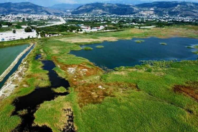Kuş Cenneti'nde korunan alan büyüklüğü 3 katına çıkarıldı