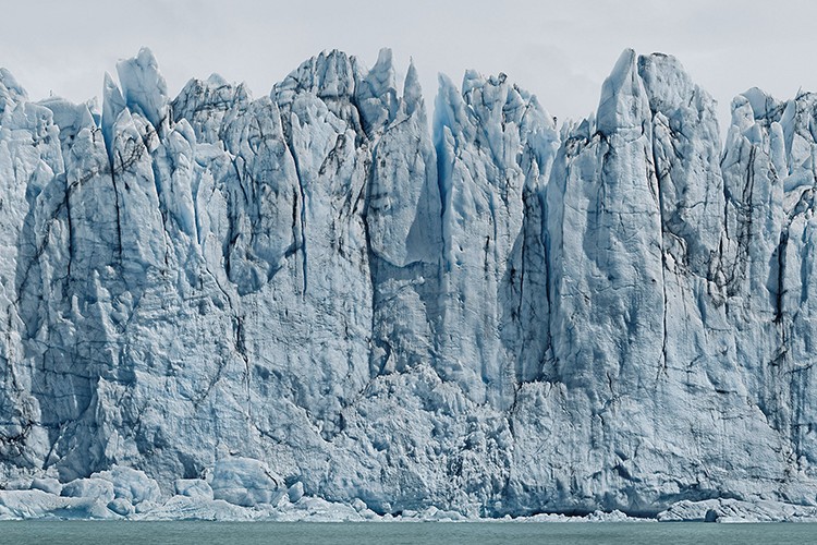 Borusan Contemporary, CI Bloom'da