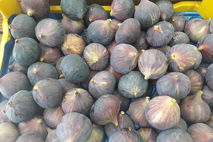 Çinlilerden büyük ilgi