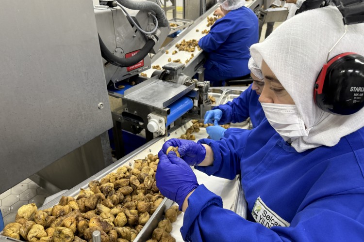 Türk organik sektörünün yeni ihracat hedefi 2 milyar dolar