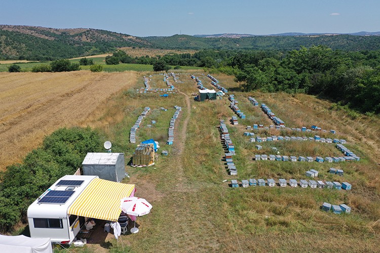 Kaliteli bal üretmek için Muğla'dan Edirne'ye geldiler