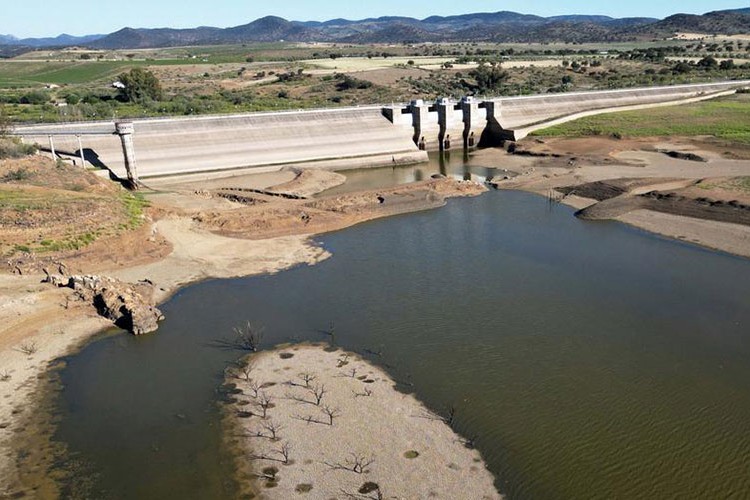 İspanya'da kuraklık gıda fiyatlarını nasıl körüklüyor?