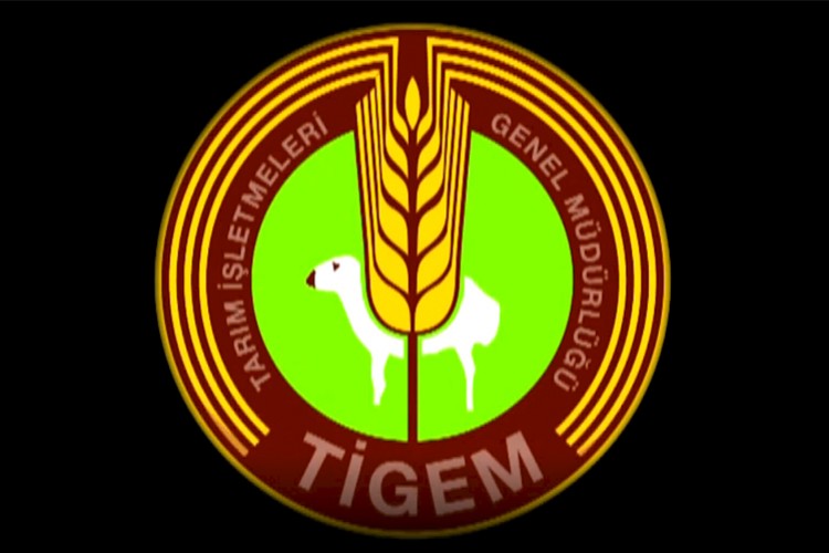 Hububat sapı satılacak