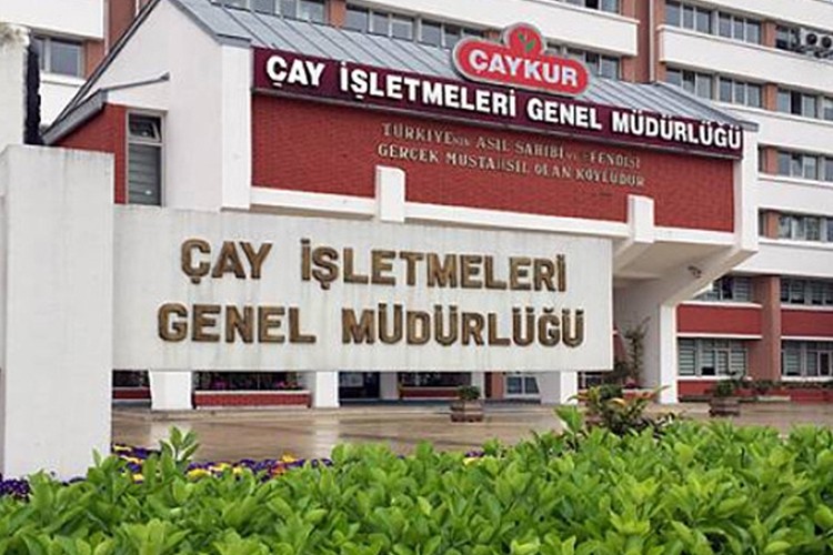 Yaş çay bedelleri hesaplara aktarıldı ı