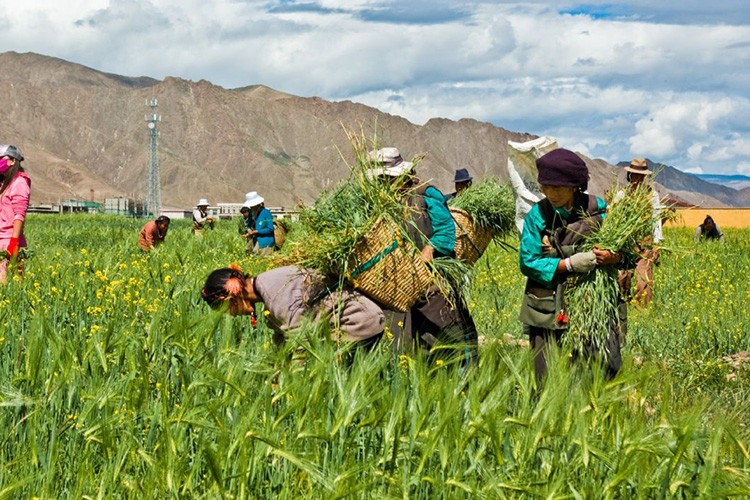 Çiftçiye 1.6 milyarlık destek
