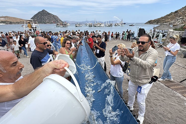 Uluslararası Bodrum Balık Festivali yapıldı