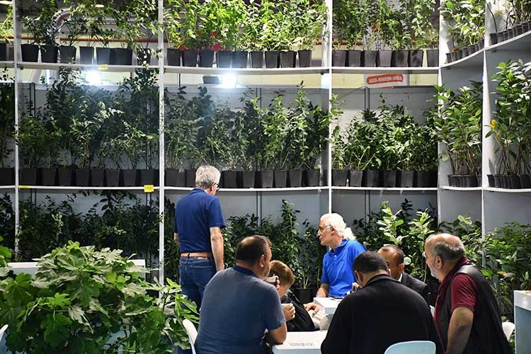 Bursa'da tarım ve hayvancılık fuarları başladı