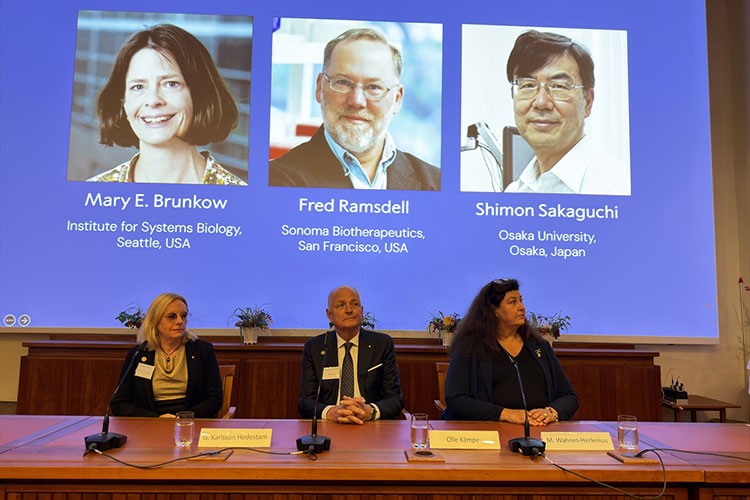 Nobel Tıp Ödülü Brunkow, Ramsdell ve Sakaguchi'ye verildi