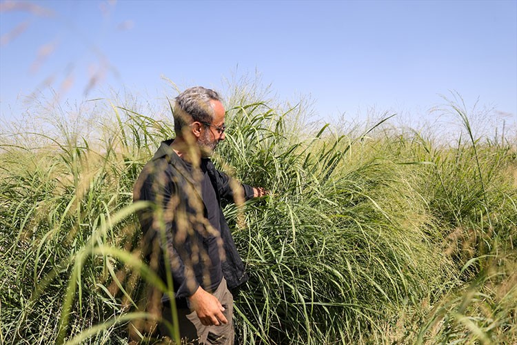 Su tüketimini ve üretim maliyetini düşürüyor