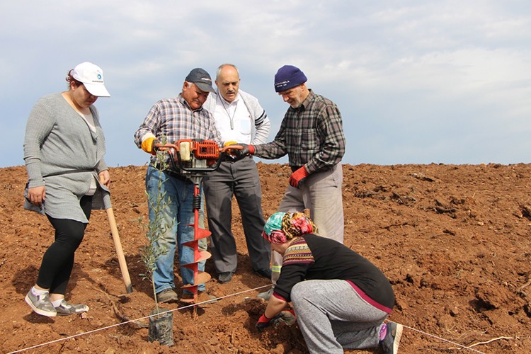 Orman köylüsüne müjde