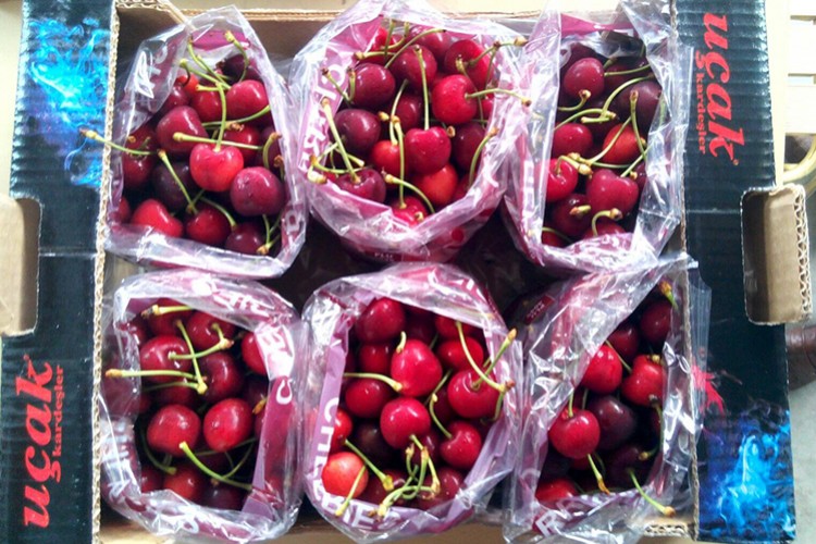 Türk kirazı Çin seddini aştı