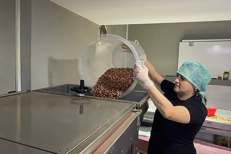 Giresunlu kadın girişimci fındık işleme tesisi kurdu