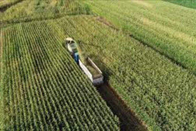 Ankara tarımda yatırım üssü oluyor