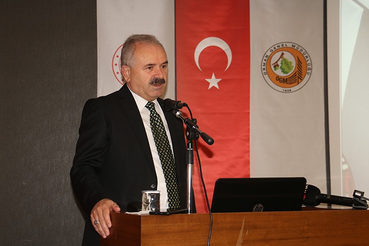 Kastamonu ormanlarından daha fazla kazanım