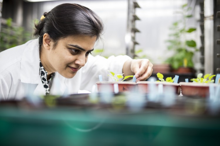 Uluslararası Bilim Ortaklıkları Fonu'ndan yeni araştırma iş birlikleri için 80 bin Sterlin destek