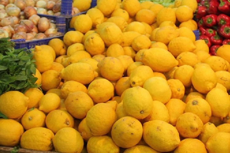 İhracatı ön izne bağlandı