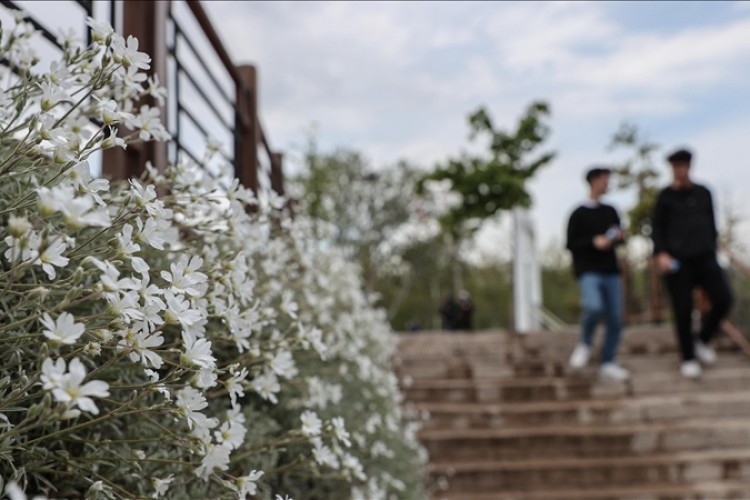 Kişi başına düşen ağaçlık yeşil alan miktarı 12,63 metrekare