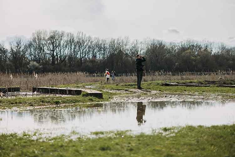 Slovakya'nın Senne bölgesinde kuş gözlemciliği
