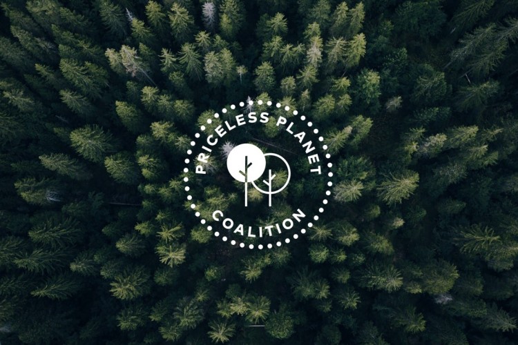 Mastercard, Çevreye Duyarlı Çözümleriyle Sürdürülebilir Dijital Ekonomiye Destek Veriyor