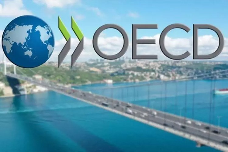 Türkiye, OECD'nin en hızlı büyüyen iki ekonomisinden biri